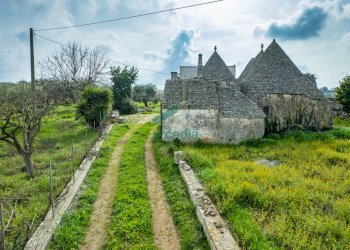 dettagli - Casale Contrada Terranova, Monopoli - foto 11