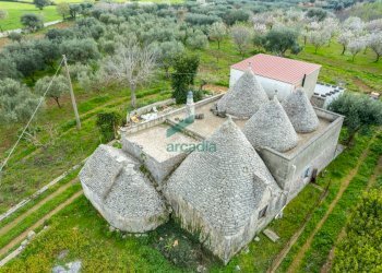 viste - Casale Contrada Terranova, Monopoli - foto 13