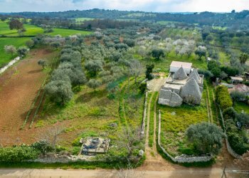 dettagli - Casale Contrada Terranova, Monopoli - foto 18