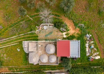 viste - Casale Contrada Terranova, Monopoli - foto 26