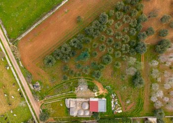 viste - Casale Contrada Terranova, Monopoli - foto 27