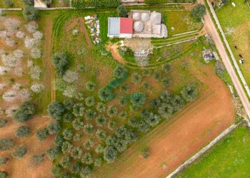 viste - Casale Contrada Terranova, Monopoli - foto 28