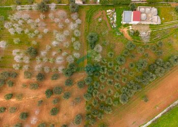 viste - Casale Contrada Terranova, Monopoli - foto 29