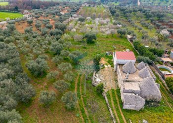 viste - Casale Contrada Terranova, Monopoli - foto 30
