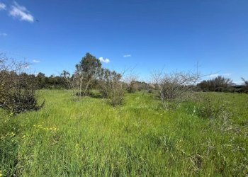 1.jpeg - Terreno agricolo San Sperate - foto 1