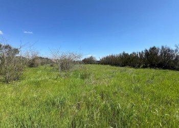 2.jpeg - Terreno agricolo San Sperate - foto 2