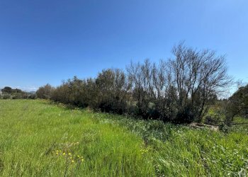 4.jpeg - Terreno agricolo San Sperate - foto 4