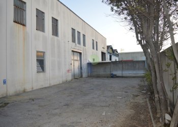 piazzale - Commercial Premises Via Aurelia 76, Collesalvetti - photo 14