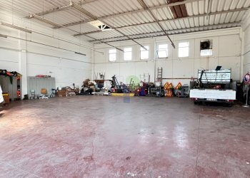 interno capannone - Commercial Premises Via Aurelia 76, Collesalvetti - photo 3