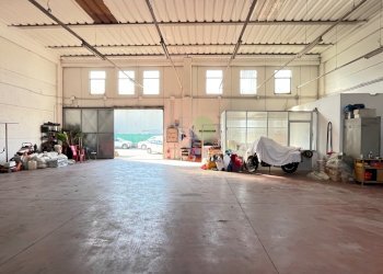 interno capannone - Commercial Premises Via Aurelia 76, Collesalvetti - photo 5