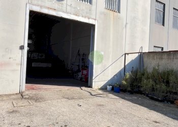 ingresso al capannone - Commercial Premises Via Aurelia 76, Collesalvetti - photo 19