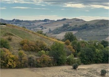 23 DI LEO IMMOBILIARE VENDE CASA DI CAMPAGNA CON T - Casale Carassai - foto 7