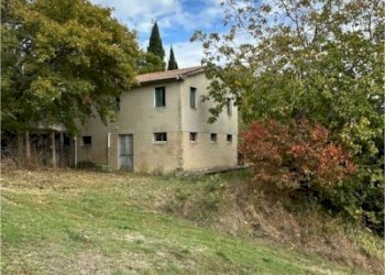 10 DI LEO IMMOBILIARE VENDE CASA DI CAMPAGNA CON T - Casale Carassai - foto 9