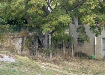 12 DI LEO IMMOBILIARE VENDE CASA DI CAMPAGNA CON T - Casale Carassai - foto 11