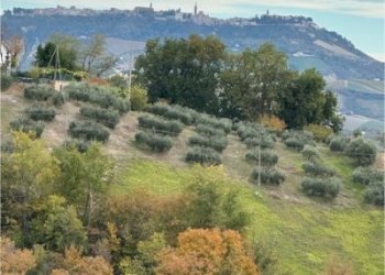 20 DI LEO IMMOBILIARE VENDE CASA DI CAMPAGNA CON T - Casale Carassai - foto 17