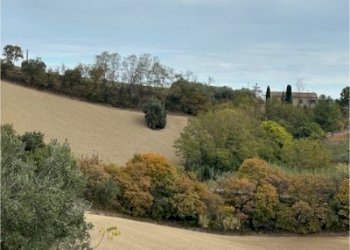 21 DI LEO IMMOBILIARE VENDE CASA DI CAMPAGNA CON T - Casale Carassai - foto 18