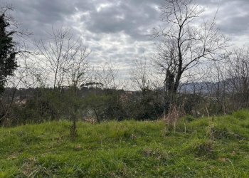 39422d81-00e2-414b-8311-57157cd6dfe2.jpg - Villa Via Nave 14, Sarzana - foto 23