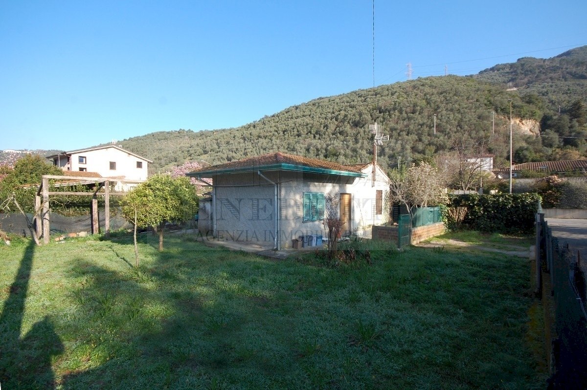 DSC_0048.JPG - Villa Via Valdicastello Carducci 70, Pietrasanta - photo 2
