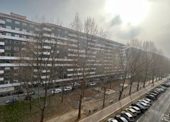 IMG_7860.jpg - Trilocale Via Postumia 1, Torino (zona Pozzo Strada) - foto 30