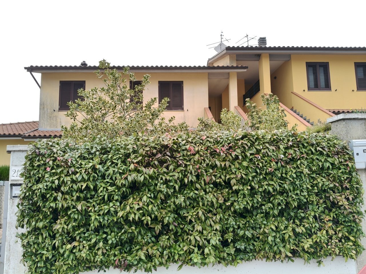 IMG20260307153307.jpg - Appartamento Vocabolo Torresquadrata 212C, Todi - foto 3