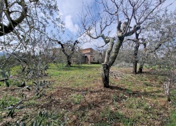 6ef8f9e2-c3a5-4e80-9d61-0dd9d3a59d87.jpg - Porzione di casa Via Valle Molina, Montecastrilli - foto 8