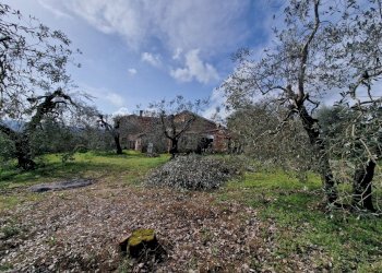 af4afa0b-72b2-4780-8008-986e33c88787.jpg - Porzione di casa Via Valle Molina, Montecastrilli - foto 23