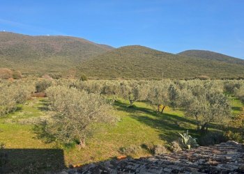 vista panoramic (7).jpg - Casale Via Madonna del Piano 2, Montecchio - photo 24