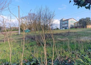 IMG-20260227-WA0074.jpg - Porzione di casa Via Roma, Avigliano Umbro - foto 9