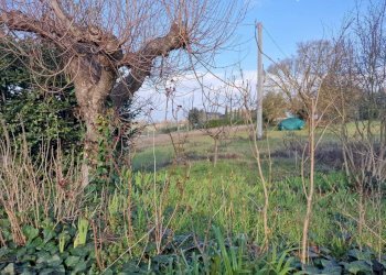 IMG-20260227-WA0041.jpg - Porzione di casa Via Roma, Avigliano Umbro - foto 21