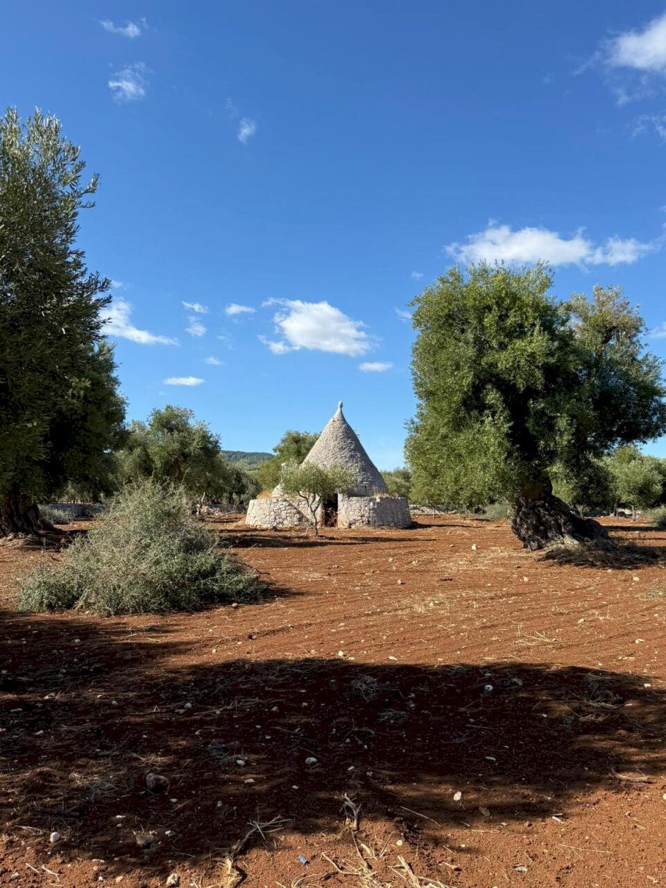 WhatsApp Image 2025-09-18 at 11.13.07 (4).jpeg - Casa indipendente contrada casalini snc, Ostuni - foto 2