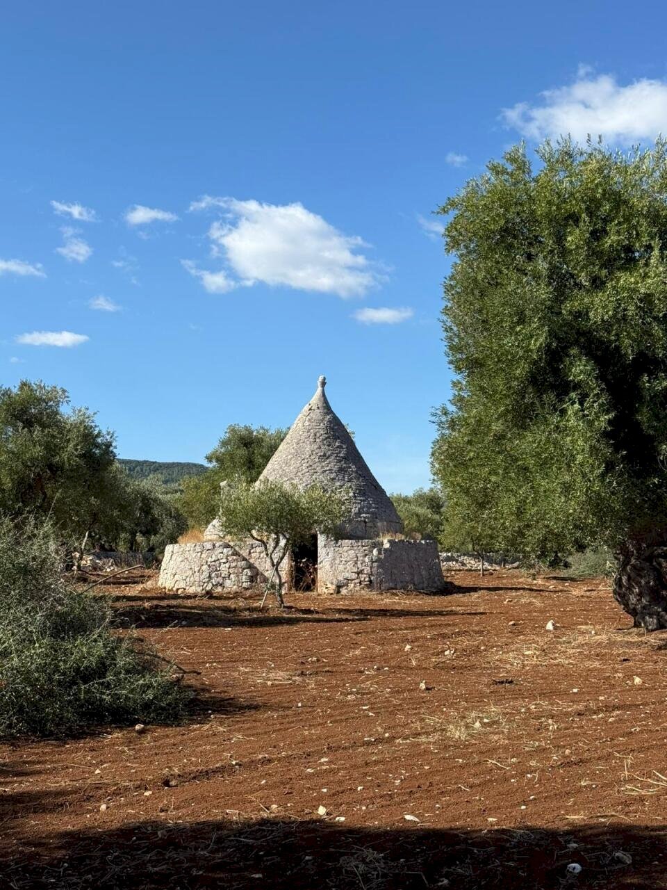 WhatsApp Image 2025-09-18 at 11.13.07 (3).jpeg - Casa indipendente contrada casalini snc, Ostuni - foto 3