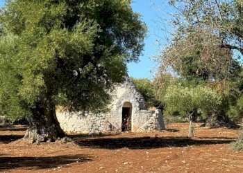 WhatsApp Image 2025-09-18 at 11.13.08 (1).jpeg - Casa indipendente contrada casalini snc, Ostuni - foto 1