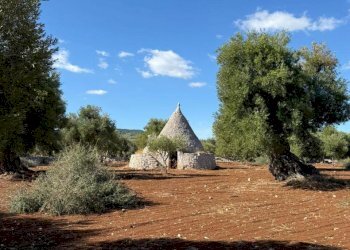 WhatsApp Image 2025-09-18 at 11.13.07 (4).jpeg - Casa indipendente contrada casalini snc, Ostuni - foto 2