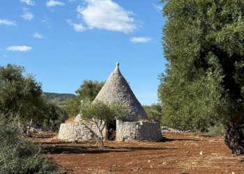WhatsApp Image 2025-09-18 at 11.13.07 (3).jpeg - Casa indipendente contrada casalini snc, Ostuni - foto 3
