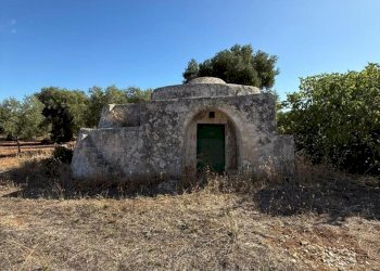 WhatsApp Image 2025-09-18 at 11.13.08.jpeg - Casa indipendente contrada casalini snc, Ostuni - foto 8