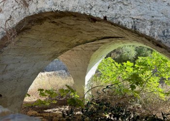 WhatsApp Image 2025-09-29 at 10.46.30 (1).jpeg - Casa indipendente contrada casalini snc, Ostuni - foto 11