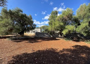 WhatsApp Image 2025-09-29 at 10.46.30 (5).jpeg - Casa indipendente contrada casalini snc, Ostuni - foto 12