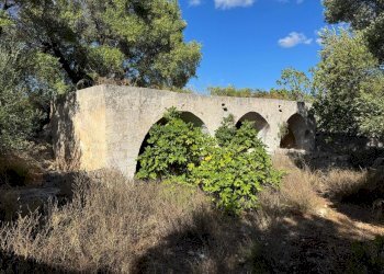 WhatsApp Image 2025-09-29 at 10.46.30 (4).jpeg - Casa indipendente contrada casalini snc, Ostuni - foto 13