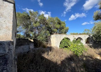 WhatsApp Image 2025-09-29 at 10.46.30 (3).jpeg - Casa indipendente contrada casalini snc, Ostuni - foto 14