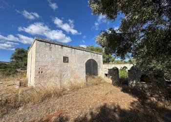 WhatsApp Image 2025-09-29 at 10.46.30 (2).jpeg - Casa indipendente contrada casalini snc, Ostuni - foto 15