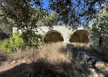 WhatsApp Image 2025-09-29 at 10.46.29 (1).jpeg - Casa indipendente contrada casalini snc, Ostuni - foto 19