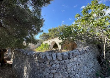 WhatsApp Image 2025-09-29 at 10.46.29.jpeg - Casa indipendente contrada casalini snc, Ostuni - foto 20