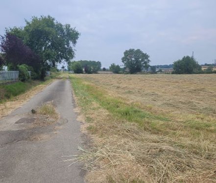 3.png - Terreno edificabile all'asta Via Bartolomeo Maino 4, Alessandria - foto 3