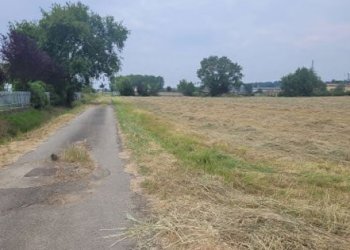 3.png - Terreno edificabile all'asta Via Bartolomeo Maino 4, Alessandria - foto 3