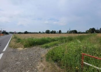 4.png - Terreno edificabile all'asta Via Bartolomeo Maino 4, Alessandria - foto 4