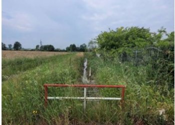 7.png - Terreno edificabile all'asta Via Bartolomeo Maino 4, Alessandria - foto 6