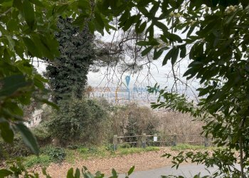 IMG_5730.jpeg - Villa Via Tecchioni 5, Massa - foto 9