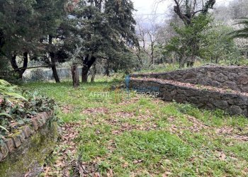 IMG_5731.jpeg - Villa Via Tecchioni 5, Massa - foto 10