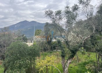 IMG_5749.jpeg - Villa Via Tecchioni 5, Massa - foto 14