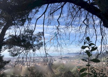 IMG_2124.jpeg - Villa Via Tecchioni 5, Massa - foto 19